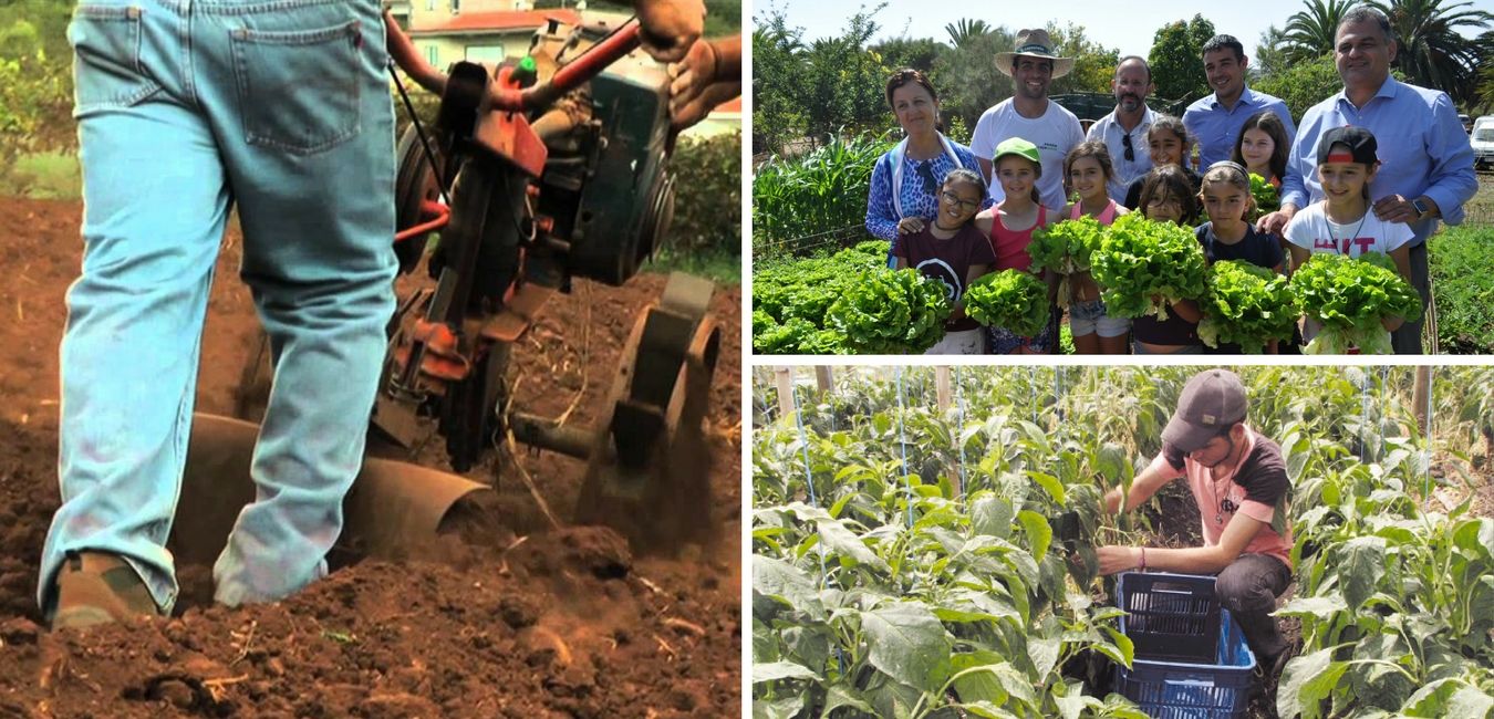 El Regreso Al Sector Agrario, Una Oportunidad Laboral En Auge