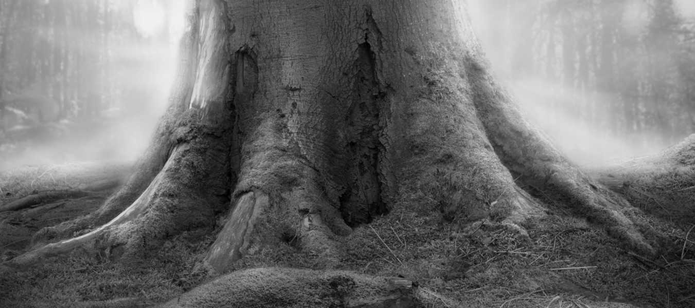 El árbol de logros habla de ti