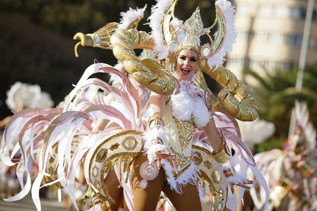 Santa Cruz Celebrará 25 Actividades Virtuales Como Sustitutas Del Carnaval 0382