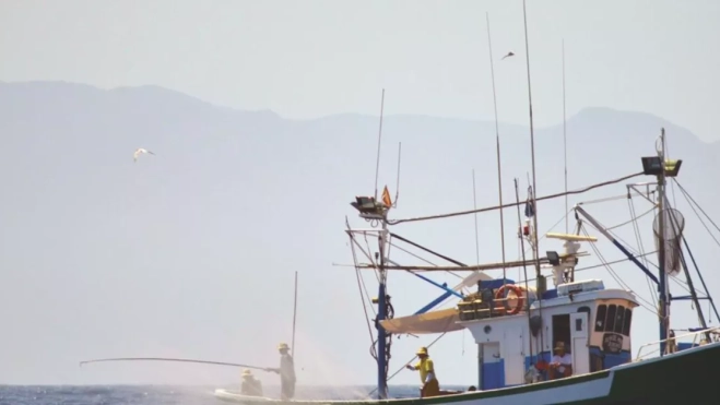 Barco de pesca en Canarias. / EUROPA PRESS Barco de pesca en Canarias. / EUROPA PRESS