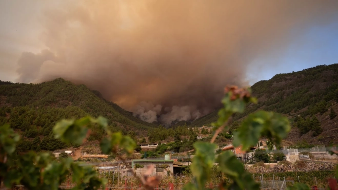 Incendio en la zona de los altos de Candelaria / EFE - RAMÓN DE LA ROCHA