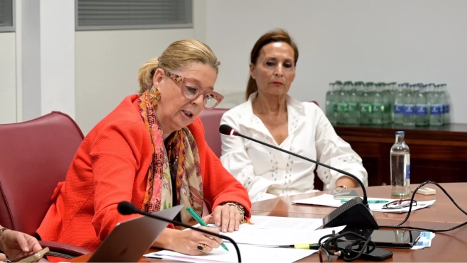 La consejera Pepa Luzardo durante una comisión de pleno / CEDIDA