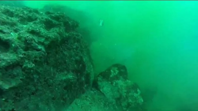 Imagen del emisario roto en la costa próxima a Playa Jardín / CEDIDA