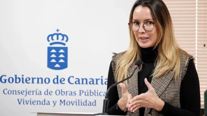 María Fernández, directora general de Transporte del Gobierno de Canarias / EFE