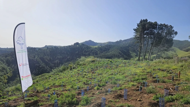 Panorámica del Bosque TUI Forest Gran Canaria. / AH