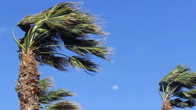 Imagen de viento en CanariasEFE Imagen de viento en CanariasEFE