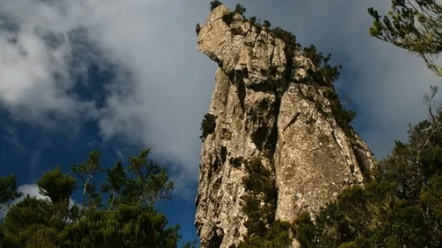 el roque de anambro