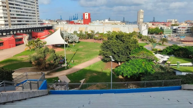 El parque del Estadio Insular visto desde la Grada Curva, con los árboles y palmeras que serán afectados por le escenario del Carnaval. / AH