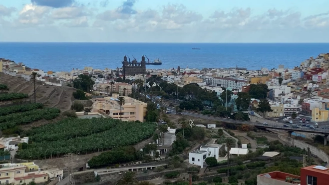 Imagen de árboles en el Guiniguada / AH