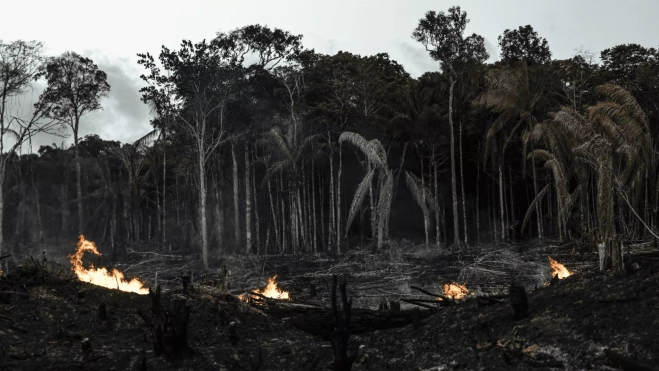 Incendio en la Amazonía / EFE