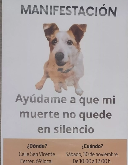 Manifestación convocada por la muerte del perro que falleció en plena calle de Santa Cruz en octubre. / FACEBOOK