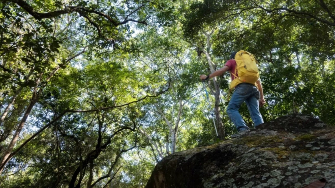 Zona natural en México / LA MANO DEL MONO