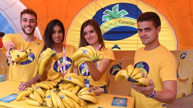 Diseño sin título Diseño sin título