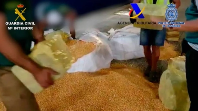 Agentes de la Guardia Civil y de Vigilancia Aduanero buscan la cocaína entre el millo que transportada el buque 'Unispirti', con escala en el Puerto de La Luz y de Las Palmas tras zarpar de Brasil. / AH Agentes de la Guardia Civil y de Vigilancia Aduanero buscan la cocaína entre el millo que transportada el buque 'Unispirti', con escala en el Puerto de La Luz y de Las Palmas tras zarpar de Brasil. / AH