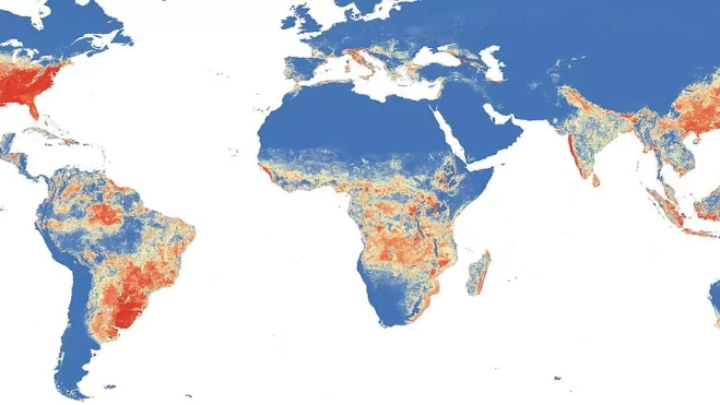 Distribución global de 'Aedes albopictus'. /Wikimedia Distribución global de 'Aedes albopictus'. /Wikimedia