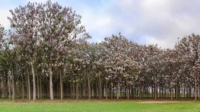 Diseño sin título (1) Diseño sin título (1)