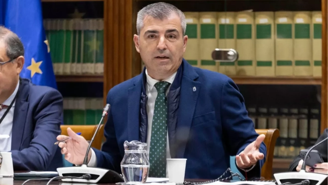 Manuel Domínguez, vicepresidente del Gobierno de CanariasEFE Manuel Domínguez, vicepresidente del Gobierno de CanariasEFE